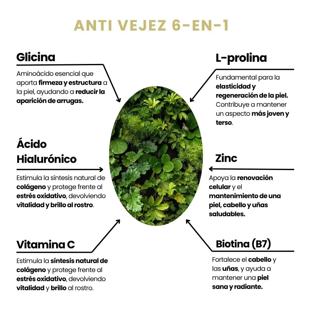 Recupera tu colágeno después de los 30